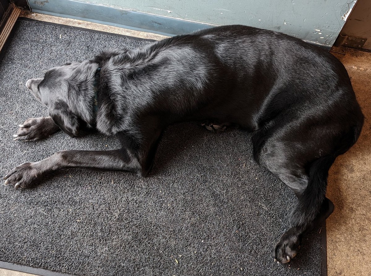 Three Mugs Brewing tweet media