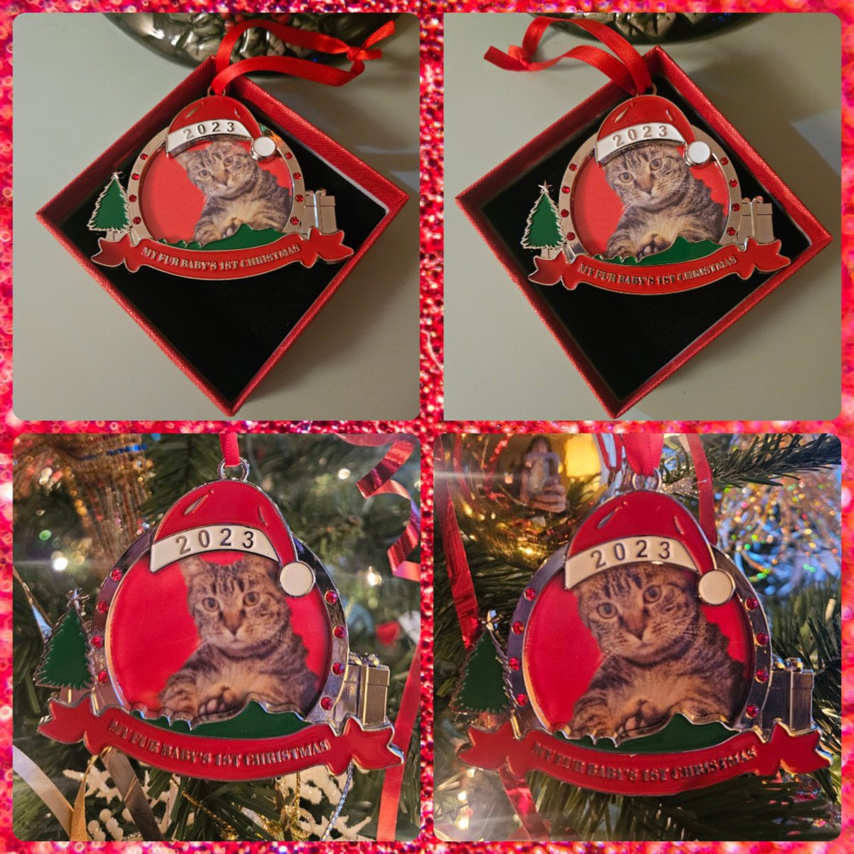 My Aunt's made this Ornament for Christmas for my baby Kitten Caroline. It says, My Fur Baby's 1st Christmas. 2 different picture versions. 🎄🎁🐱🐈😸😻❤️💜🌟⭐️❄️☃️⛄️🕯🫎🎅🏻🥳😁😌 #Kitten #Caroline #FurBaby #KittenCaroline #Christmas #ChristmasOrnament