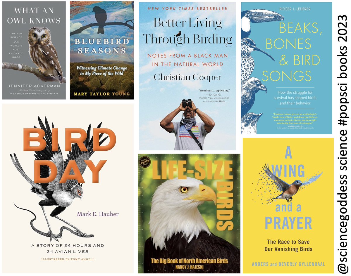Joanne Manaster (@sciencegoddess) on Twitter photo I read 7 BIRDS books
Beaks, Bones & Bird Songs by Roger Lederer
Better Living Through Birding by Christian Cooper
What an Owl Knows by Jennifer Ackerman
A Wing and a Prayer by <a href="/AGyllenhaal/">Anders Gyllenhaal</a>
Bluebird Seasons by Mary Taylor Young
Bird Day by <a href="/cowbirdlab/">Mark E. Hauber</a>
Life Size Birds by <a href="/HajeskiJ/">Nancy Hajeski</a> I read 7 BIRDS books
Beaks, Bones & Bird Songs by Roger Lederer
Better Living Through Birding by Christian Cooper
What an Owl Knows by Jennifer Ackerman
A Wing and a Prayer by <a href="/AGyllenhaal/">Anders Gyllenhaal</a>
Bluebird Seasons by Mary Taylor Young
Bird Day by <a href="/cowbirdlab/">Mark E. Hauber</a>
Life Size Birds by <a href="/HajeskiJ/">Nancy Hajeski</a>