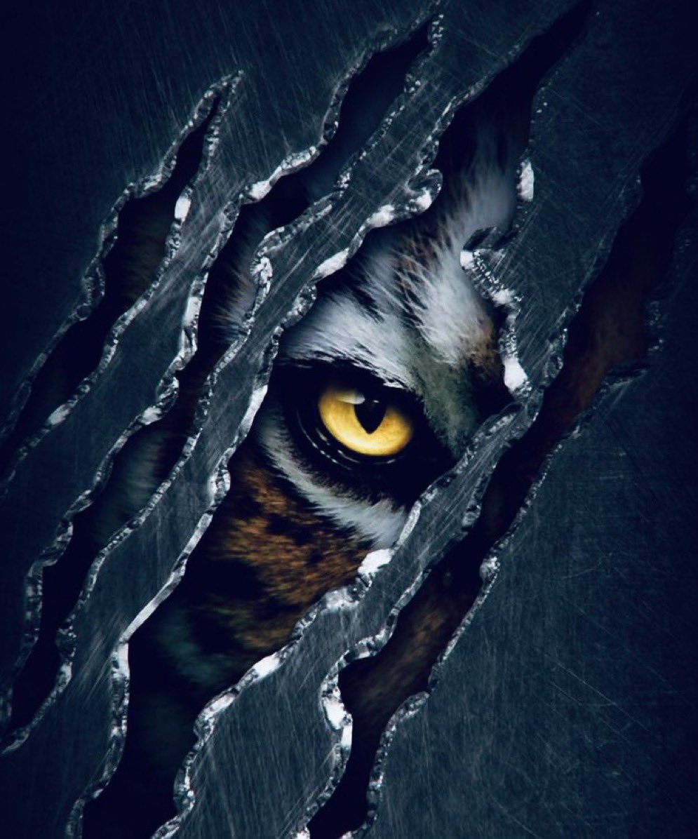 Coach Julian “J” Robinson tweet media