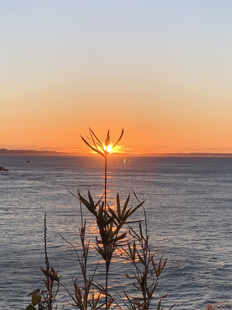 HopRabbit's tweet photo. あけましておめでとうございます🌅
初日の出を生まれて初めて見ました！
みなさんにとっていい年になりますように🐰🖤 https://t.co/oq9MWJVzt1