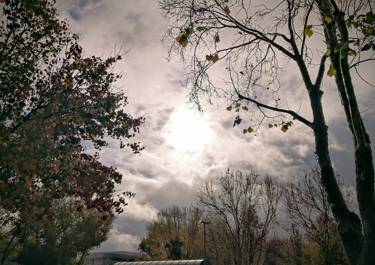 sooperay's tweet image. Happy New Year, Sir! 🫡

#Nokia9PureView