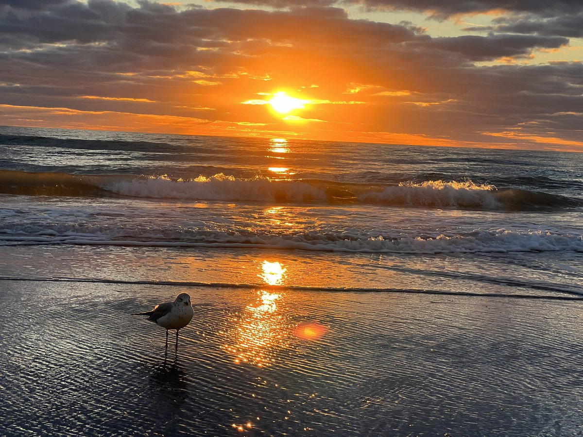 David Repka tweet media