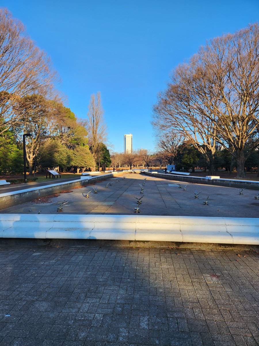 DocFAI2's tweet photo. 明けましておめでとうございます。

今日は、神社の梯子Day.　
代々木八幡神社へお詣りを終え、これから、東郷神社→明治神宮に参拝です‼️ https://t.co/buD5jKZJ3K