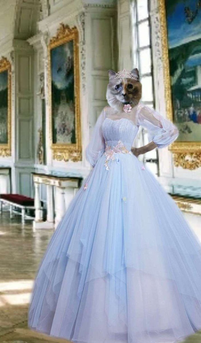 EdibleCatsClub tweet media