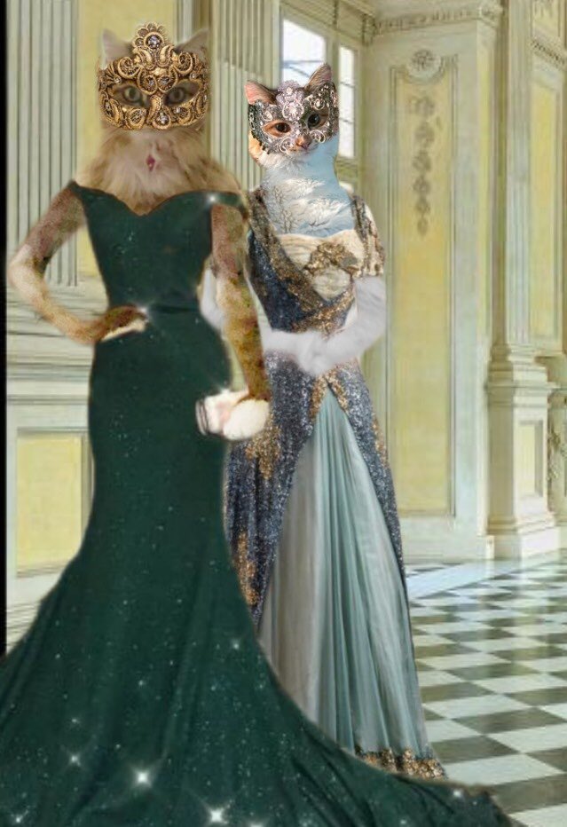 EdibleCatsClub tweet media