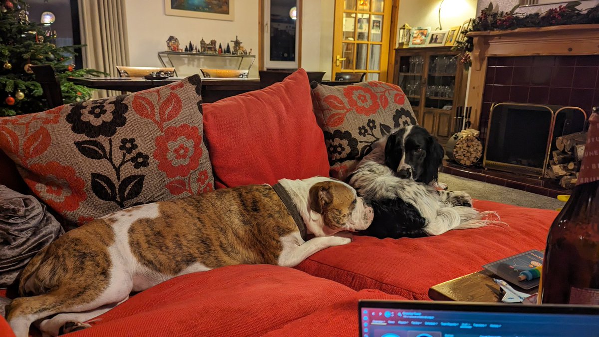 Hope everyone has a happy New year! Seeing in 2024 with a bang with snoozing dogs!