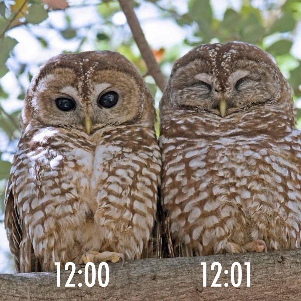 National Park Service tweet media