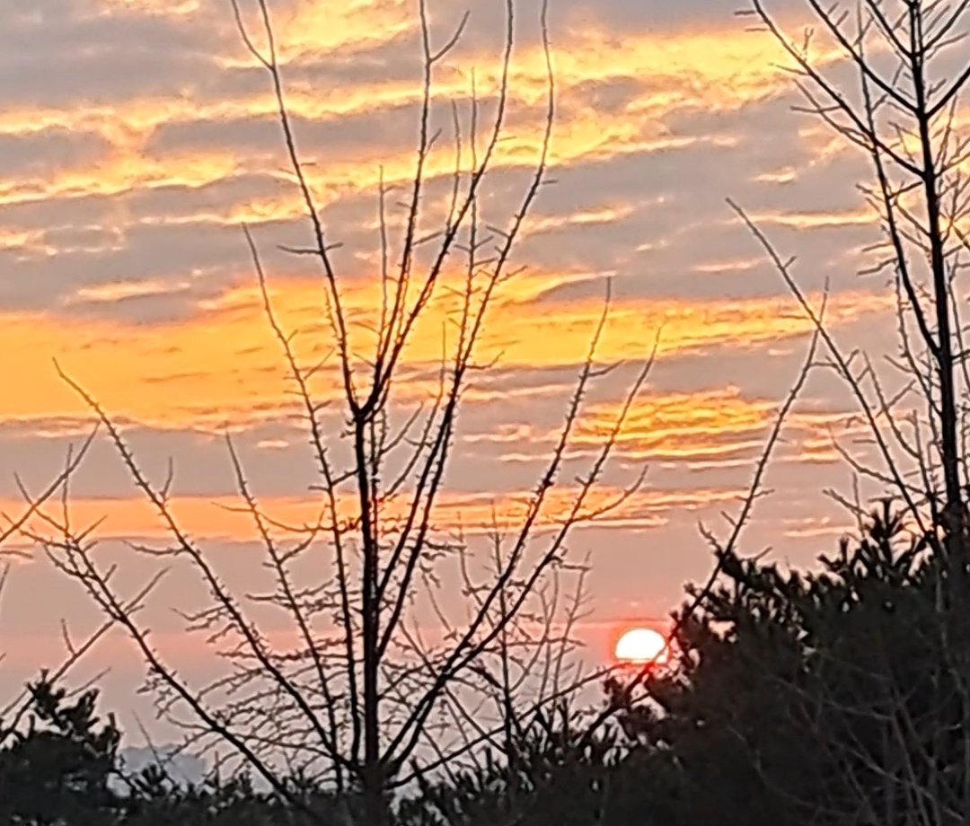 새해복 많이 받으시길 올해도 잘부탁합니다.