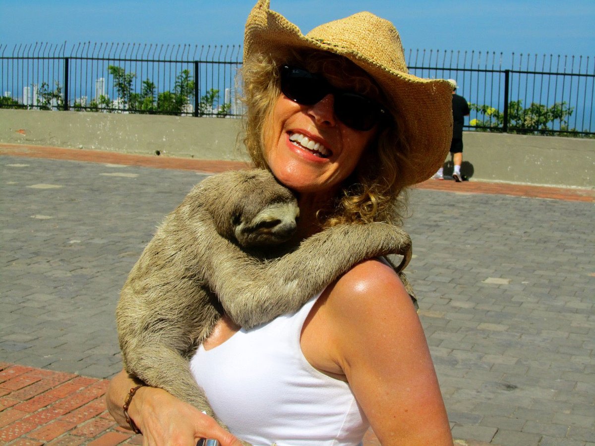 Happy 2024 everyone from Cartegena, Columbia! <a href="/Stridequeen/">Judy Carmichael</a>