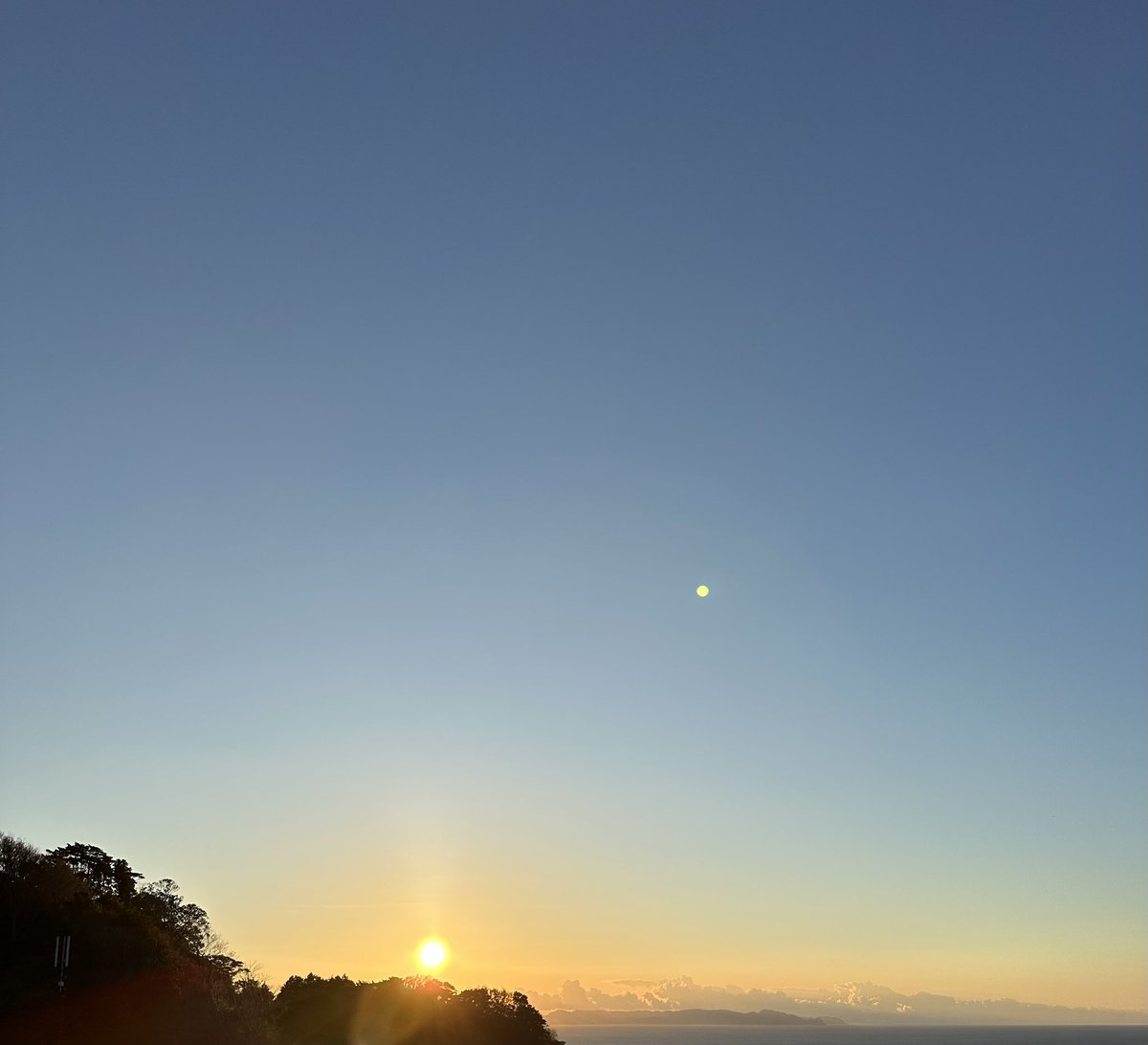 🙀GiNta (@chie12172) on Twitter photo 