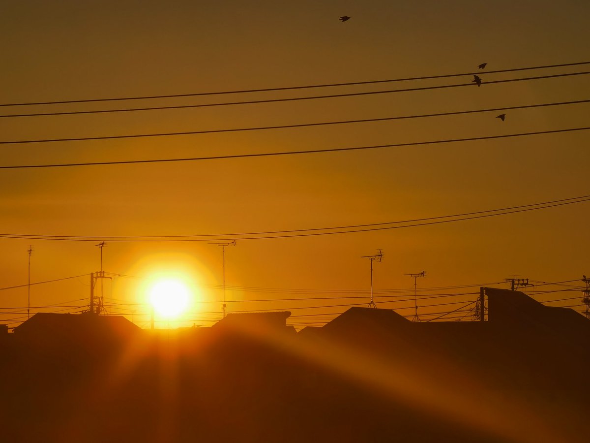 yozorakumo's tweet image. おはよう日本
#p30pro