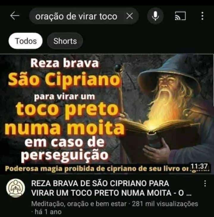 Sicut_C3rvus's tweet photo. Eu quero virar um toco preto numa moita https://t.co/cICZazA4uT