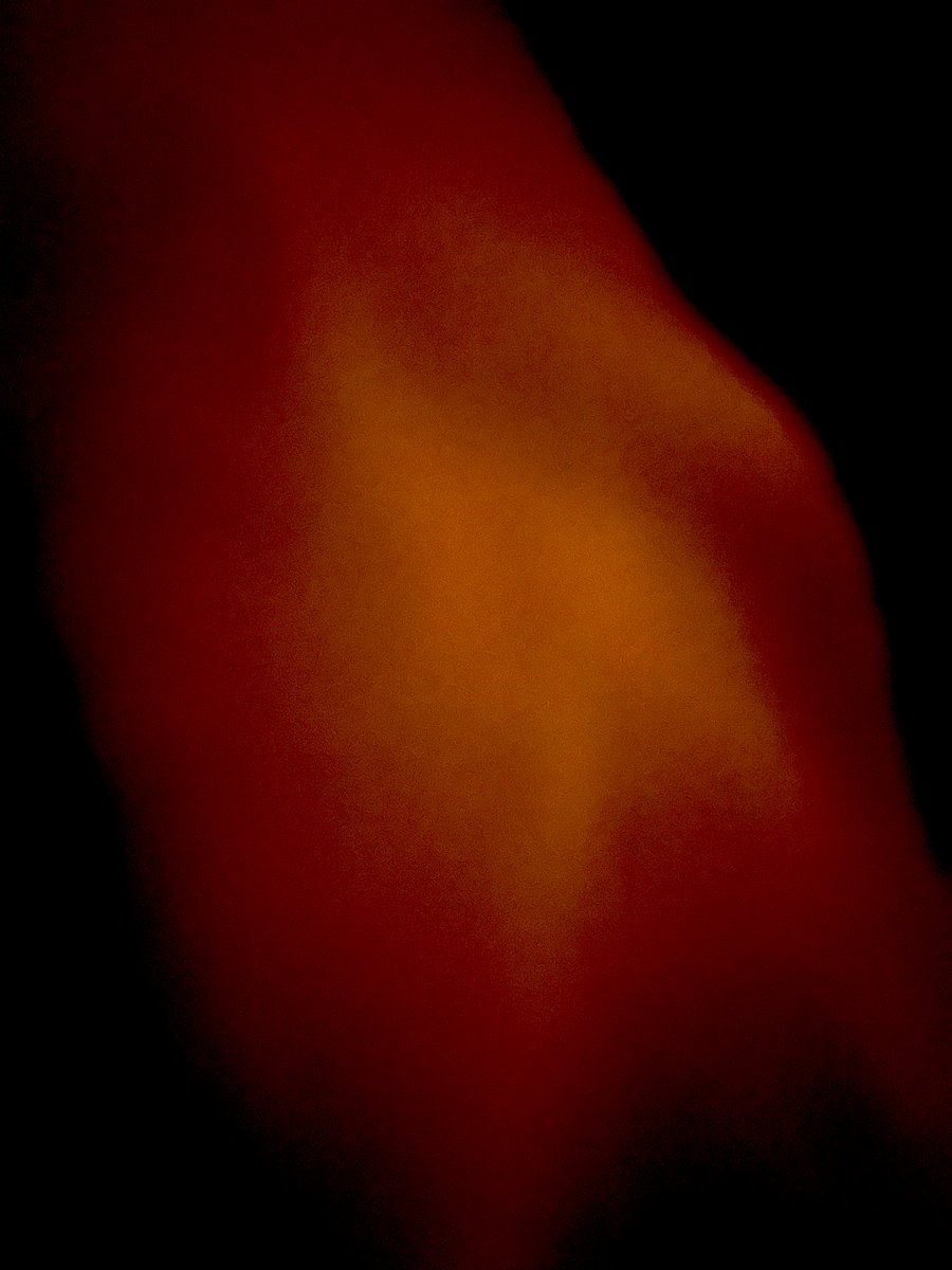 Superb New Year Fireworks here in Melton, special mention to Geoff and the team from ‘Stan’s fur lined sheds of Shotley,for their generous sponsorship. 

Images credit: 

Peter Gloom wedding photography of Woodbridge: