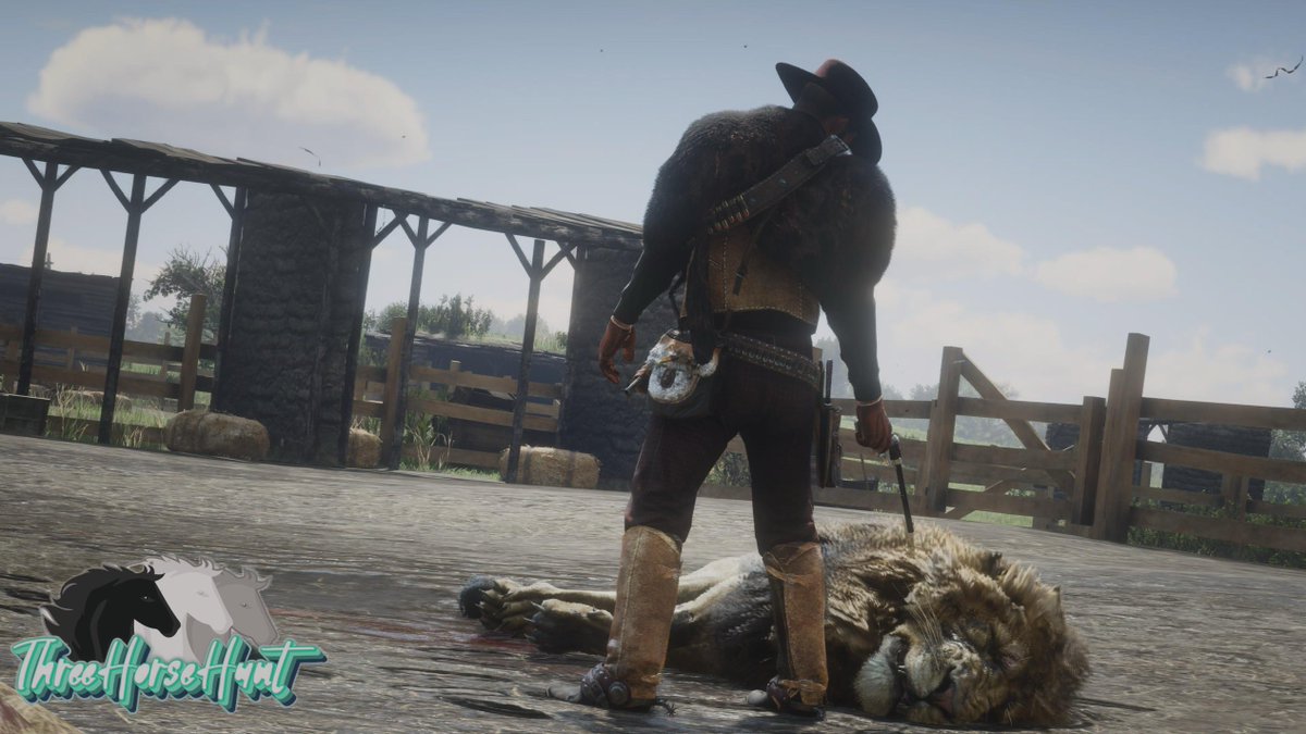Night night kitty #ThreeHorseHunt #arthurmorgan #RedDeadRedemption2 #rdr2 #RockstarGames