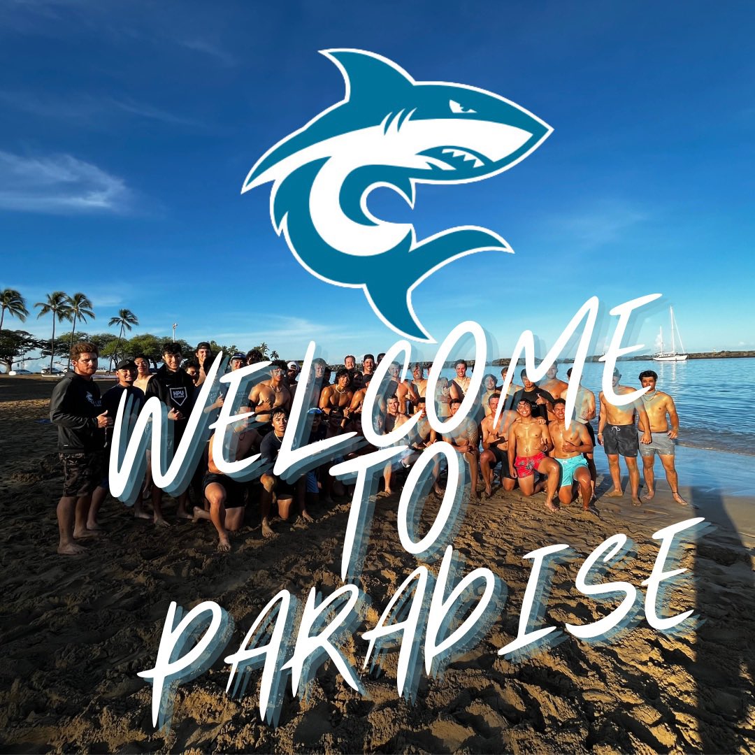 Dane Fujinaka tweet media