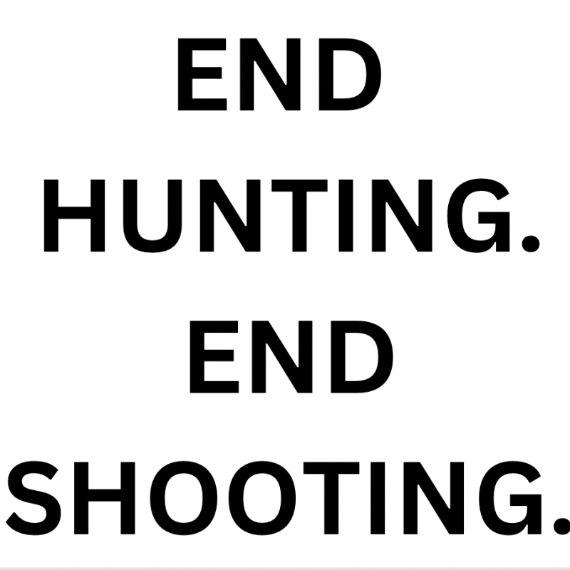 ProtectTheWild_'s tweet photo. 2024. New year. Same aims.

Who's with us? https://t.co/H7YXWFMwCz