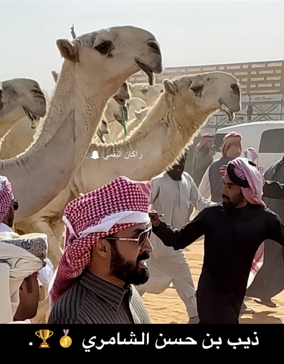 َ
من طمع في الاول انطاع شوري يستخير 
من يطاولنا يغادر عن رماح  .. جلوي 

الوكاد انه عليكم من عجيم النذير 
من تولوه المرازيق بيروح  ... ثعوي 

#بنات_هامان 🥇🥇🥇