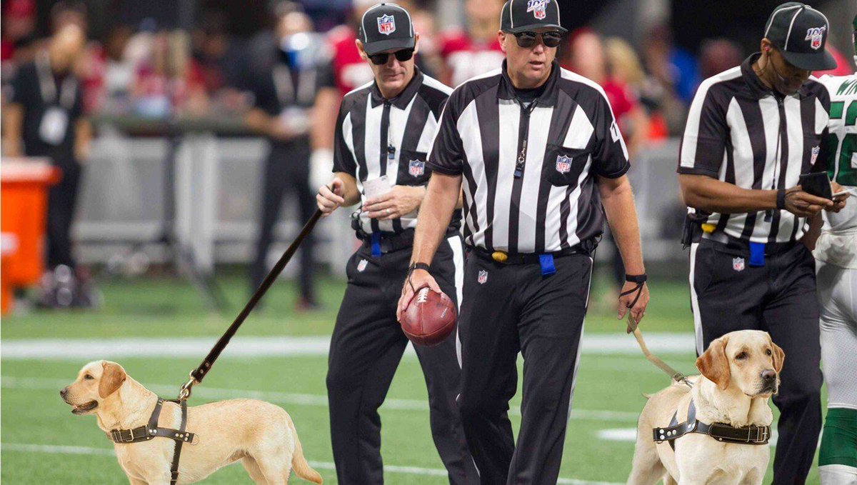 TheBabylonBee's tweet photo. NFL To Provide All Refs Seeing-Eye Dogs https://t.co/N5Qnxu2X0I https://t.co/55qnbAlRPx