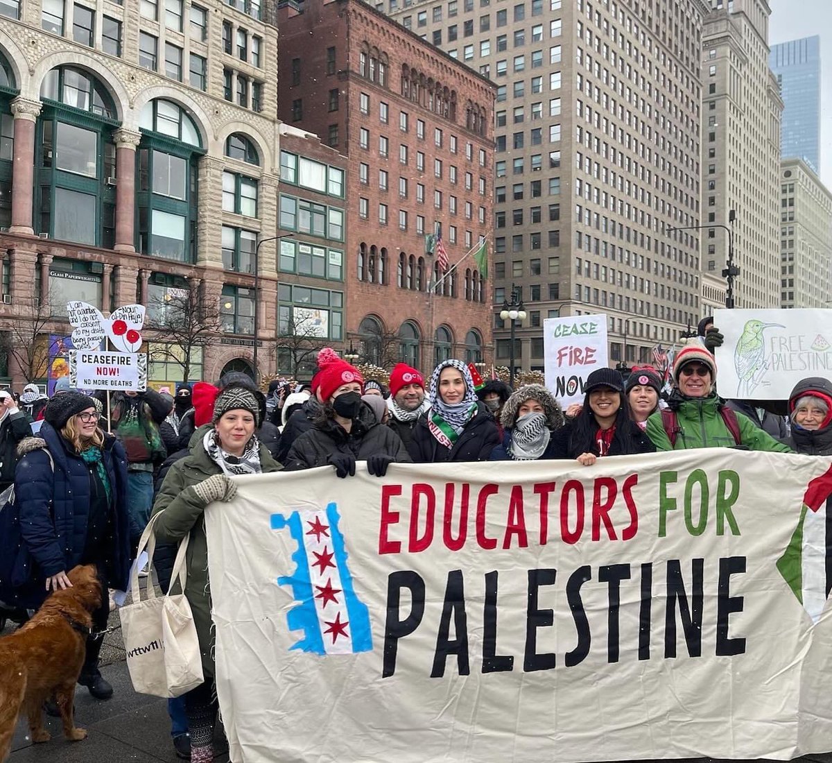 Fadi Abughoush tweet media