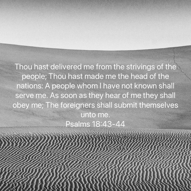 omotayo bayo-kujore (@tkujore) on Twitter photo 