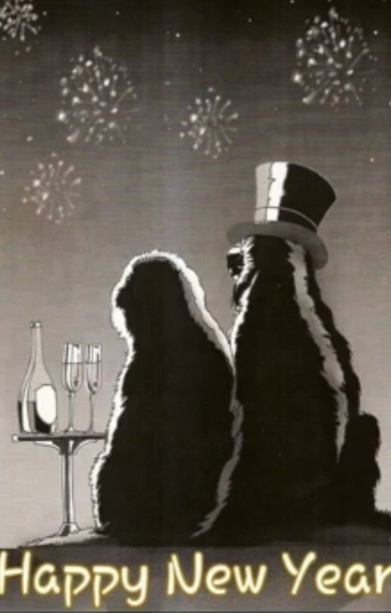 Happy New Year to all 🎉