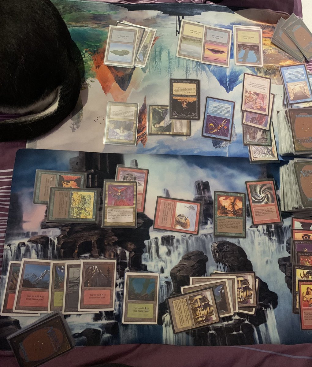 CardboardTutor's tweet image. Built two #Legends #Commander decks out of my #SetCube with Rubinia Soulsinger (Wifey) and Adun Oakenshield (Me). Our dog also wanted to be near us (she hates fireworks and staying near us comforts her). I won both rounds even though Wifey’s Time Elemental and Greater Realm of …