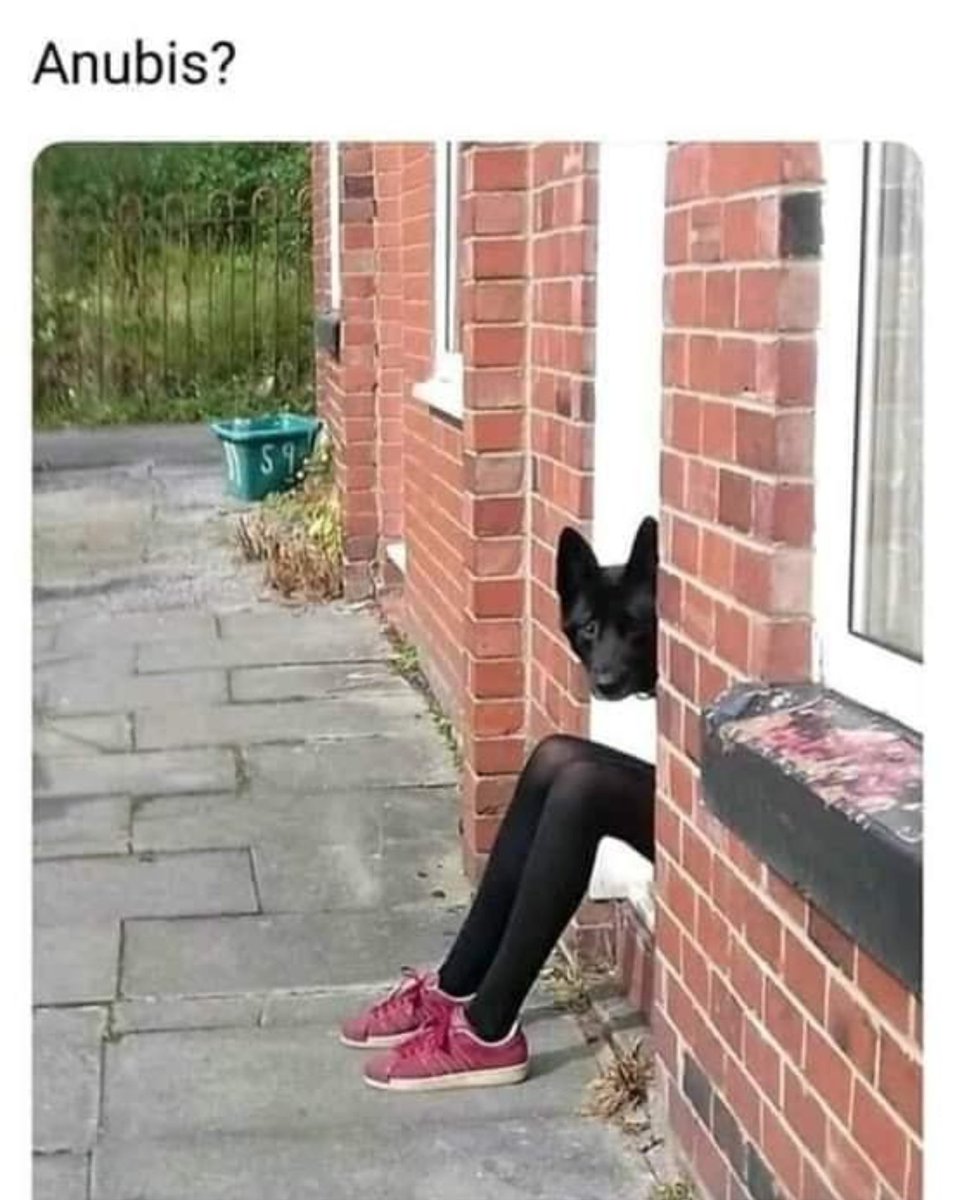 Un_gars_random's tweet photo. @RespectfulMemes https://t.co/EiVJfuYFAQ
