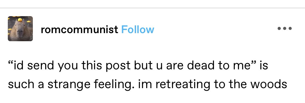 hexanacht's tweet image. how do you deal with this tbh