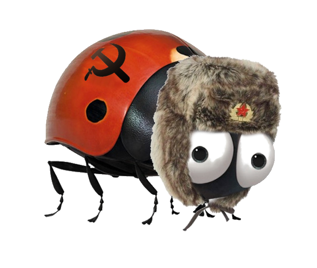 с Новым Годом