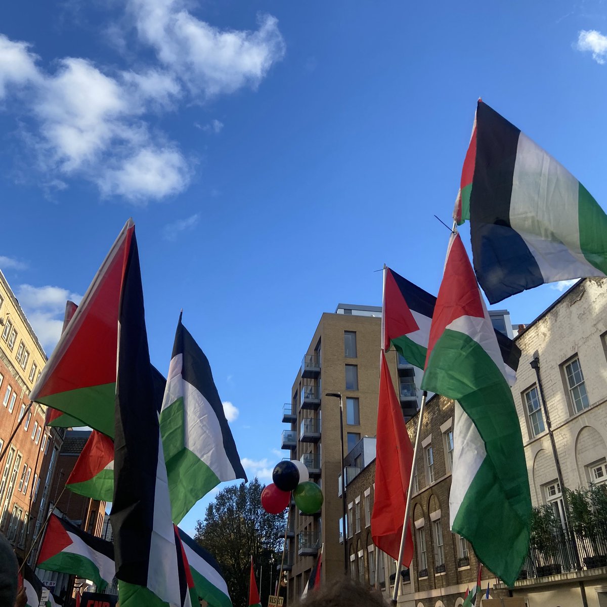 gratitude boy (@basedhilib) on Twitter photo 