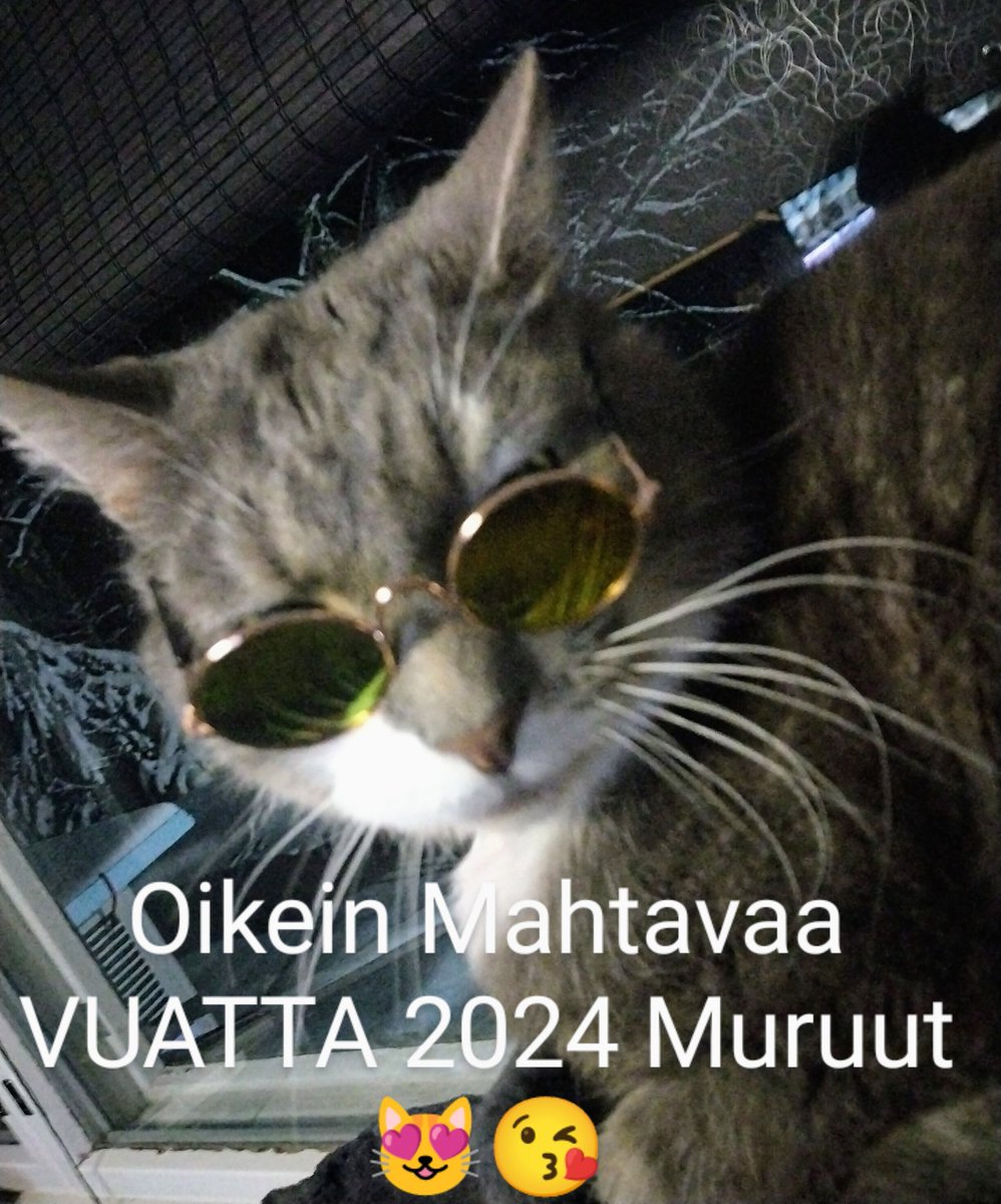 päkätin/päivi virtanen (@pktin3) on Twitter photo 