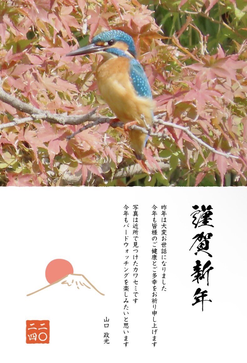 MASA_bird1's tweet photo. Happy new year! https://t.co/h1iSdcGWsw