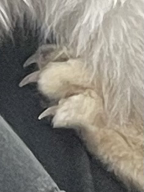 jilly!!! (@jillyaaaaa) on Twitter photo 