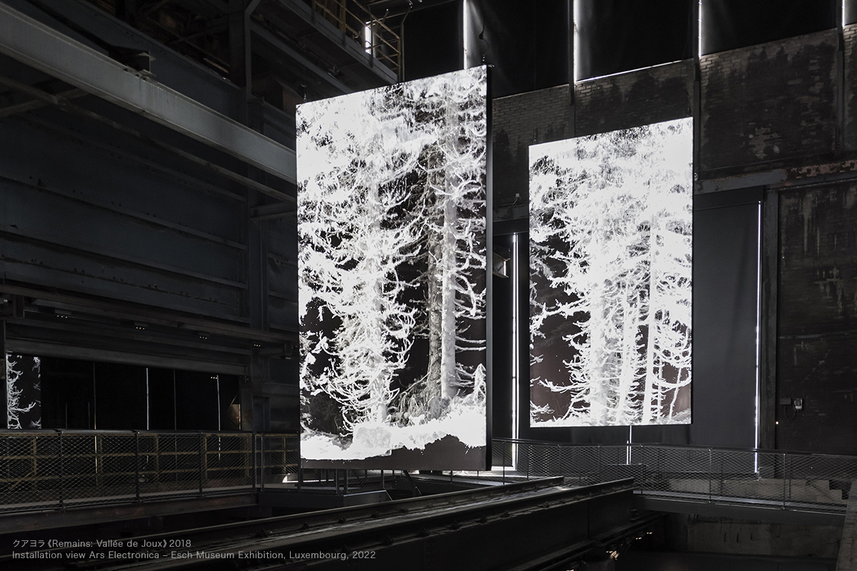 札幌国際芸術祭 / Sapporo International Art Festival tweet media