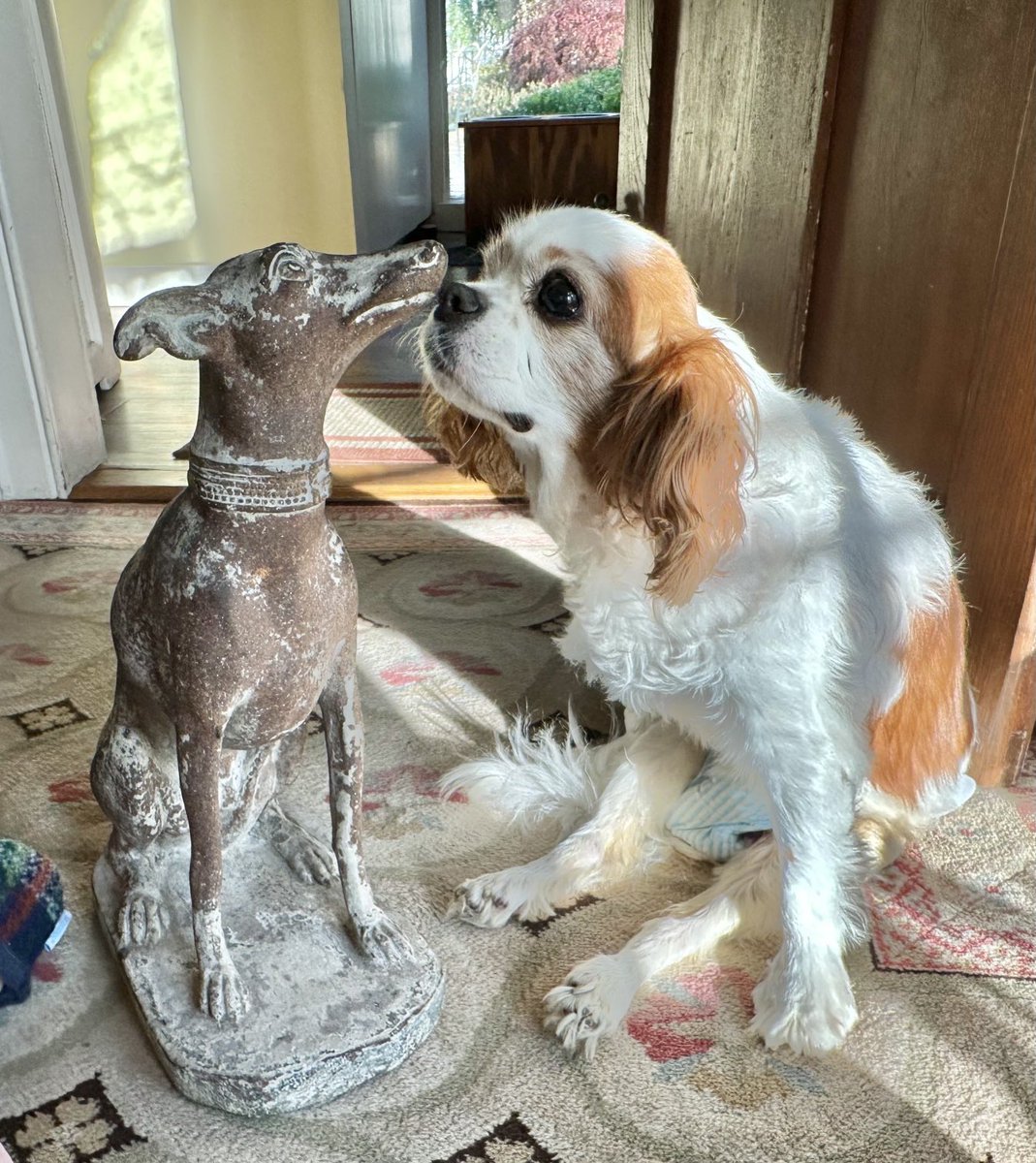 barbara israel (@barbfeb) on Twitter photo 