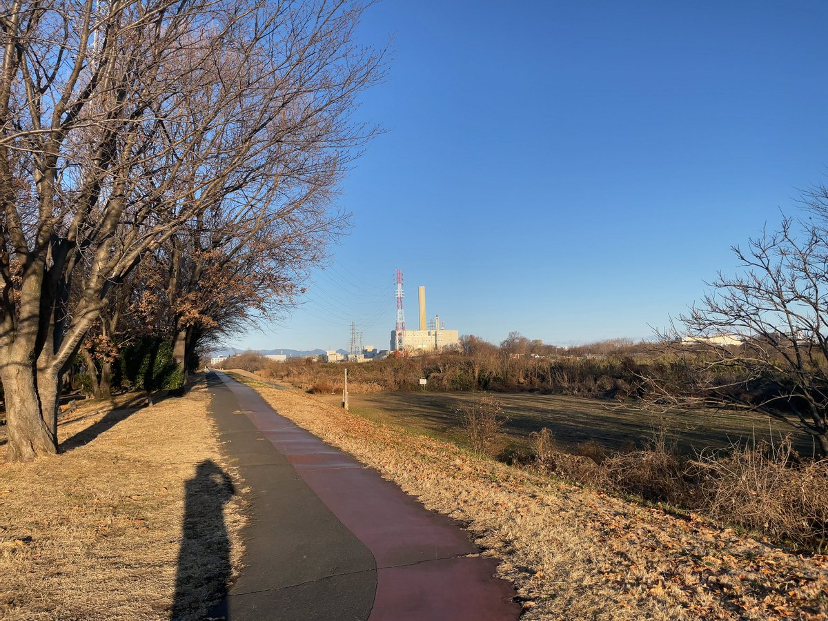 eXebLvEpLIqqlyj's tweet photo. 謹賀新年⛩初散歩🚶‍♀️今年も宜しくお願い致します🙏
#新年 #���歩 https://t.co/hxxu4swbDs