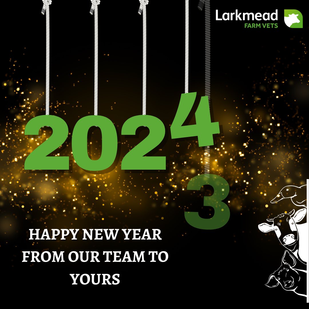 Happy New Year from our Team to yours! Wishing you all a safe and prosperous 2024.