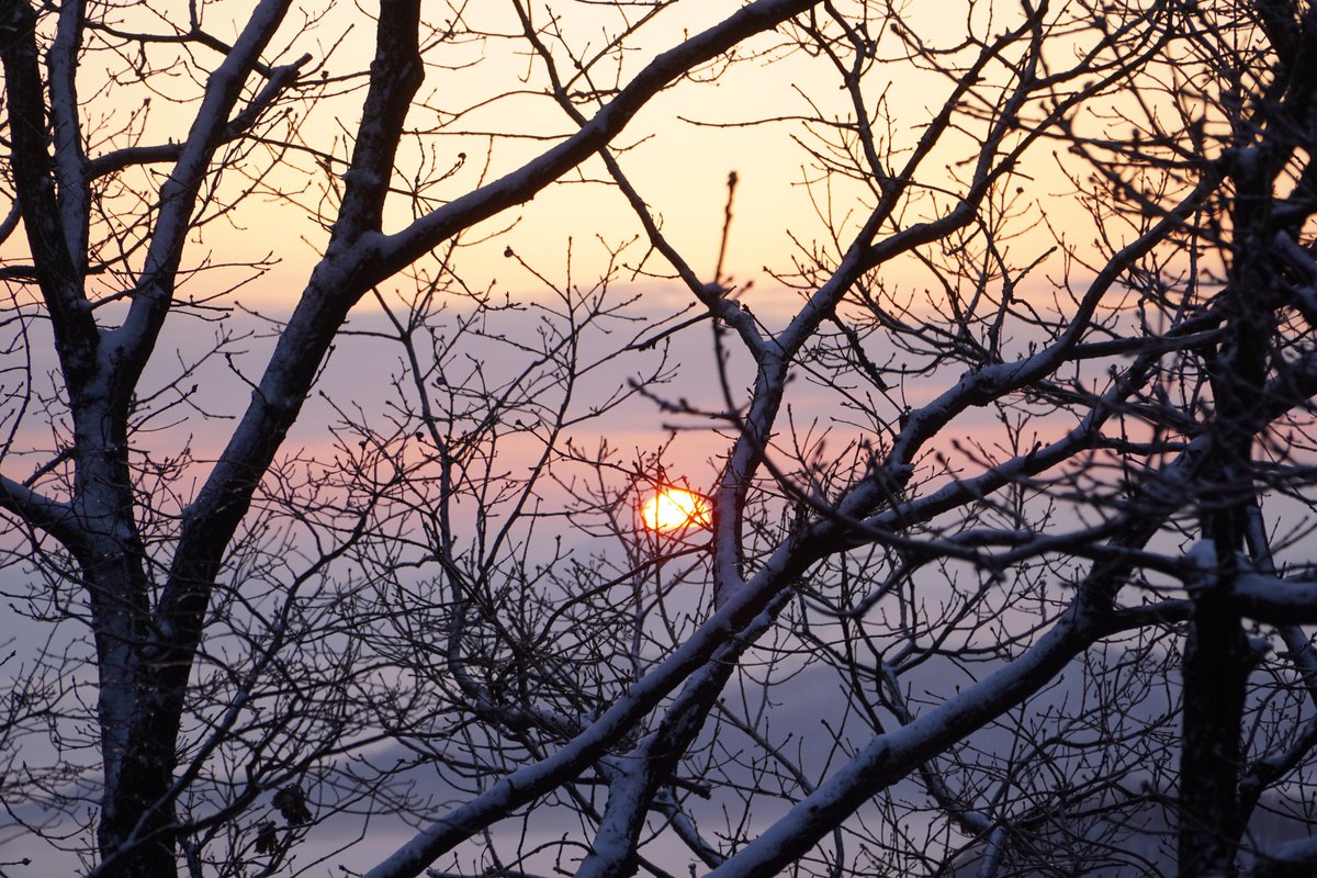 윤영찬 tweet media