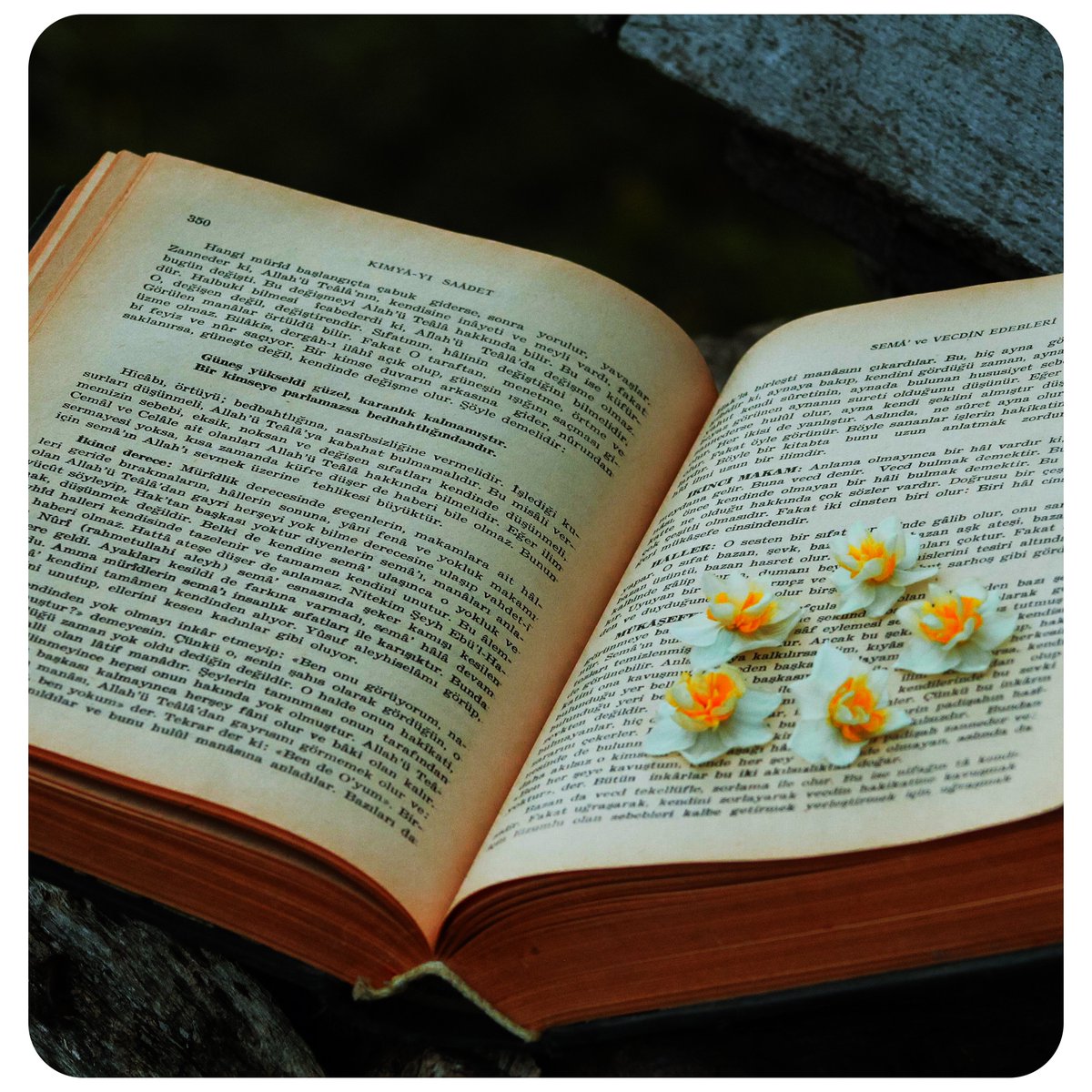 Good morning, #5amwritersclub 💜

Let's do a #writerslift to showcase our #books, #shorts, #poetry, #blogs, #websites, etc.

#WritingCommunity, show us what you got going on.
#ReadingCommunity, browse for your next fave read.

And remember to spread some love today!
💜