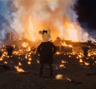 Roi Cephy tweet media