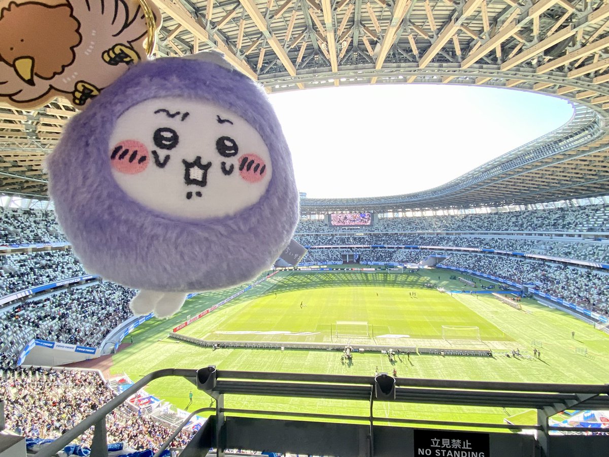 chiigyodon tweet media