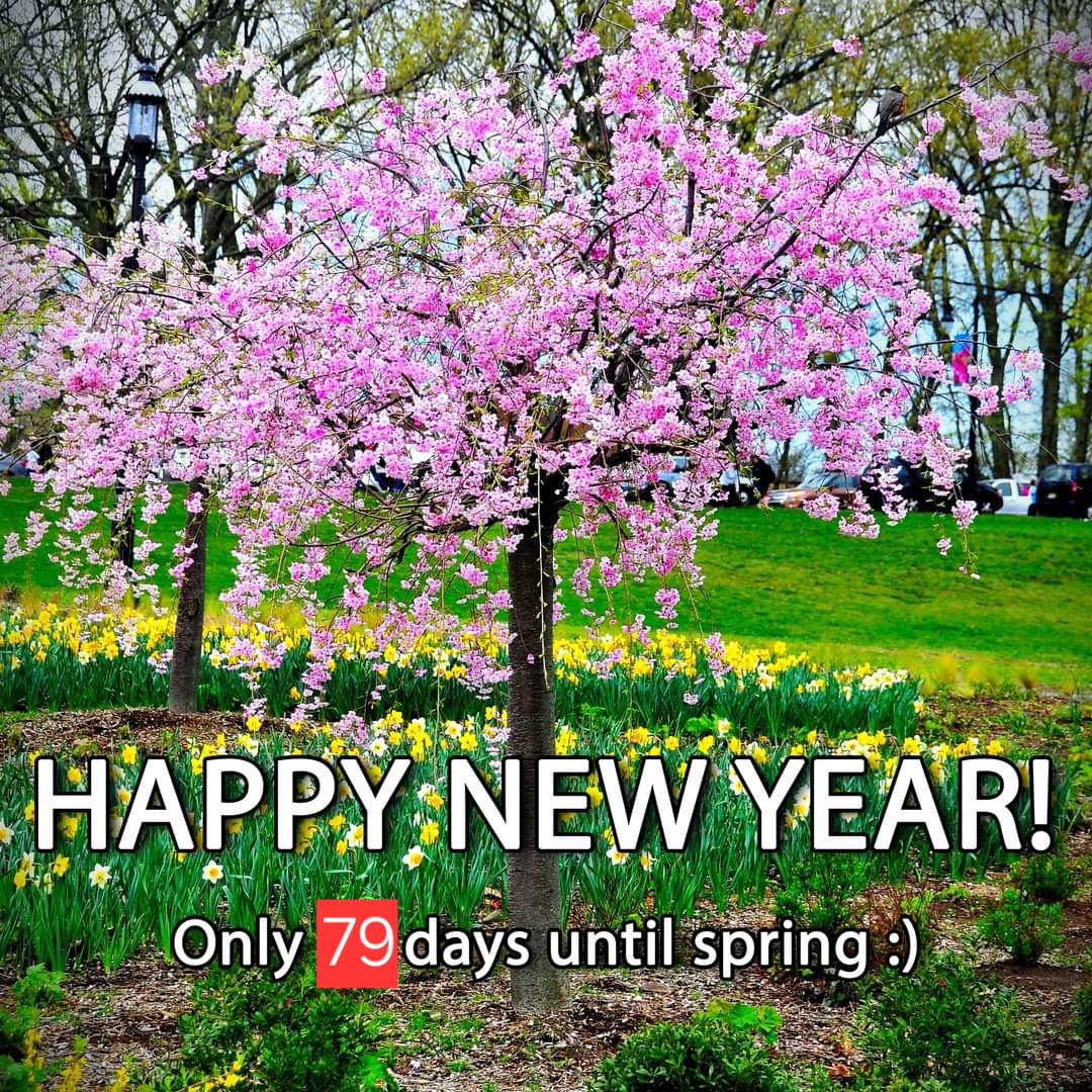 Happy New Year! And only 79 more days until spring :)

#welcome2024 #exploremorein2024 #getoutsidenj #exploringnj #dukefarms #getoutsidemore #springcomesoon #nj