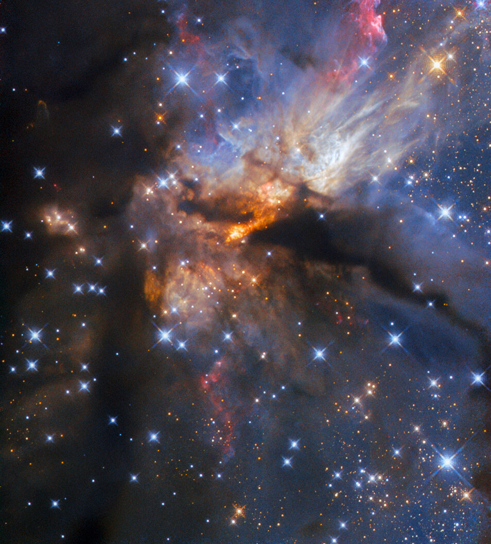 Space360HQ's tweet photo. If you are seeing this, you will have a S T E L L A R year! 🙌✨

Starting... NOW with these cosmic fireworks.

#HappyNewYear https://t.co/Q2Zhl3R2uE