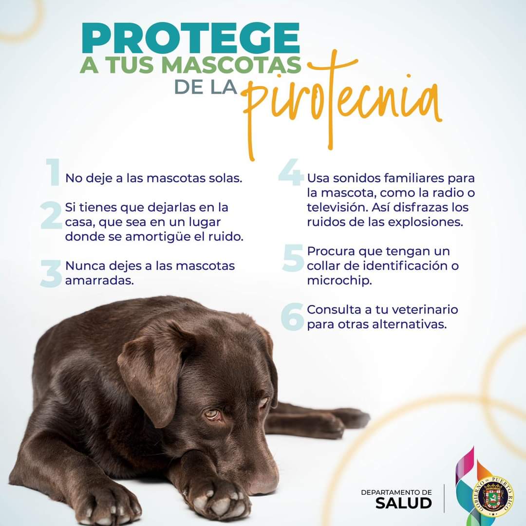 Protege  a tus animales 

#Noalmaltratoanimal 

#NoALaPirotecnia 

#AdoptaNoCompres