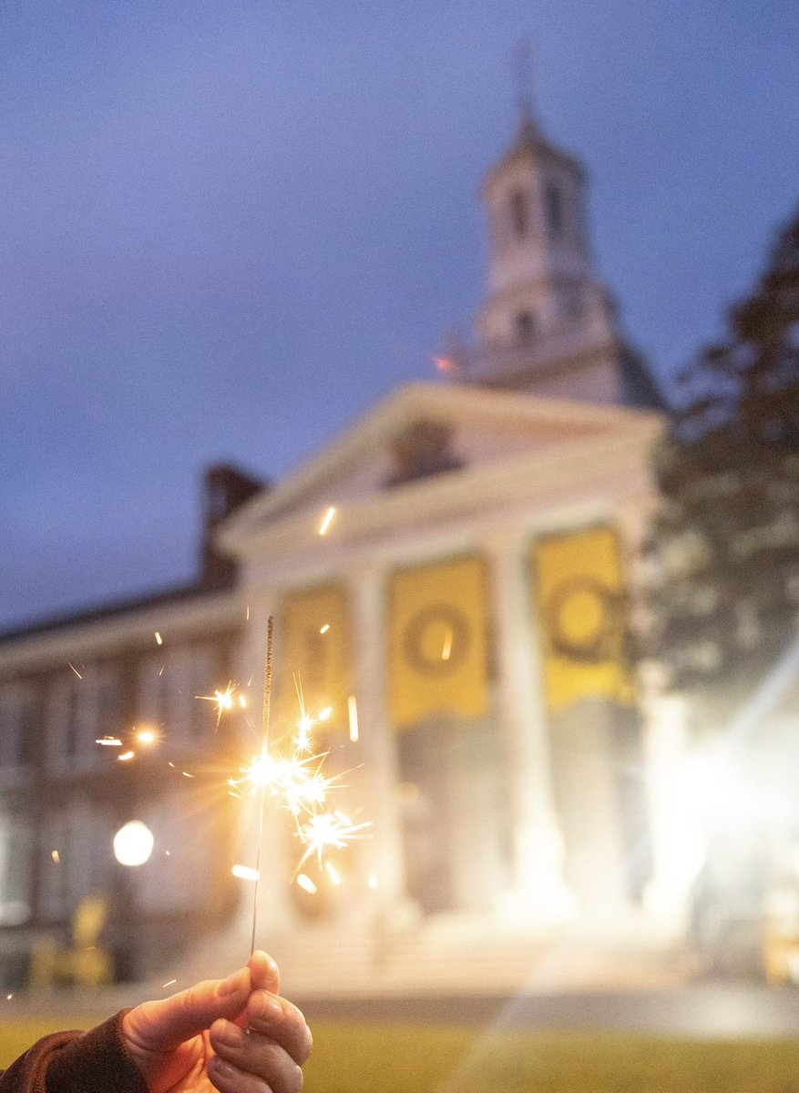 Happy New Year, Profs! 🦉🎉