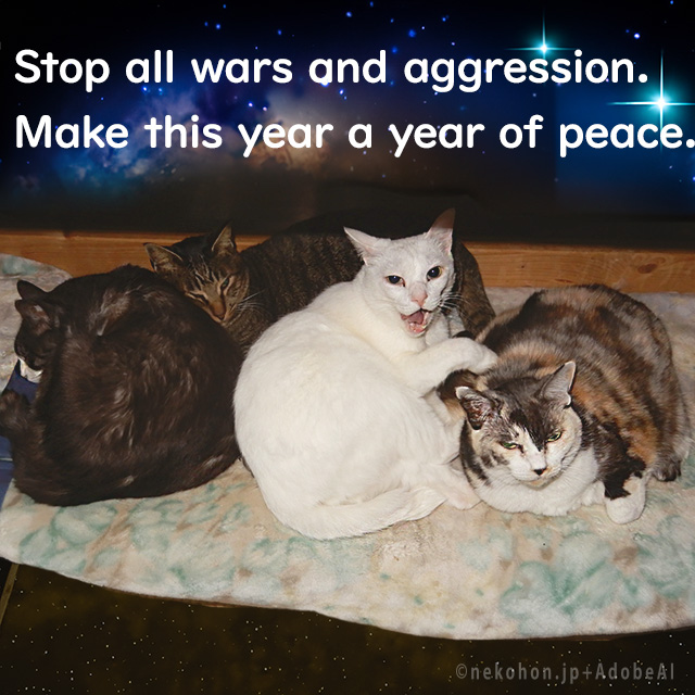 UTUXBCSCuNk0VeP's tweet photo. #Peace #PrayForPeace
#NoWar #NoWeapons #NoBombs
#Ukraine #Gaza
#戦争反対 #平和
#freedom
#cats #猫 https://t.co/uUNAheTnoN