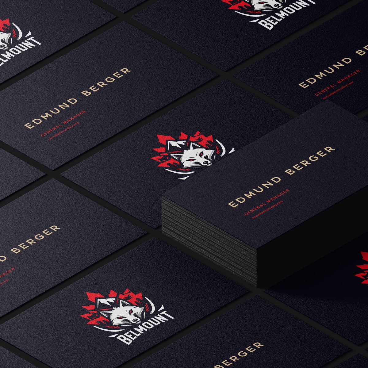 Info_SGraphics's tweet photo. Behold the Belomount logo design crafted by our expert Special Graphics team.  

#specialgraphics #logodesign #Belomount #CanadianSpirit https://t.co/ly7hK2Qih0