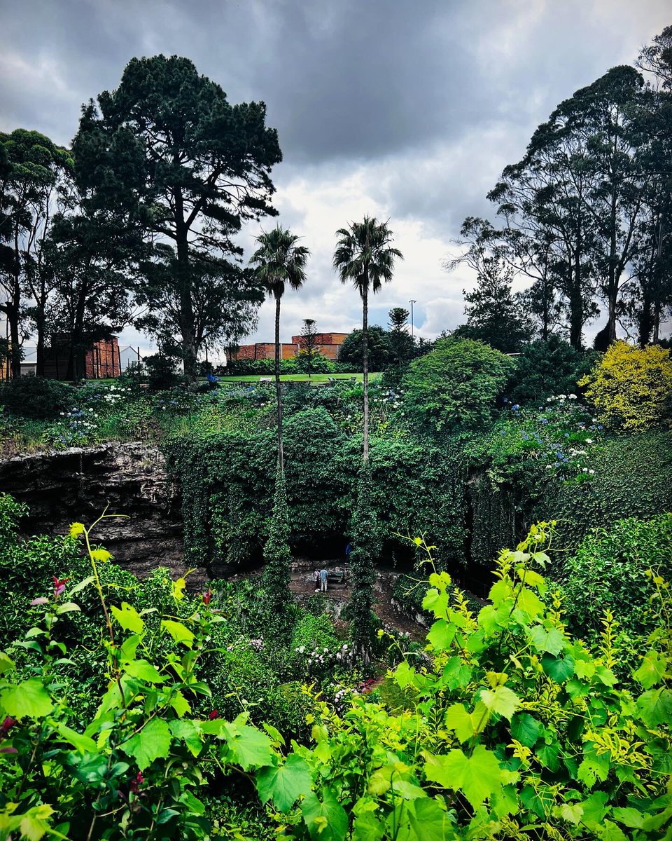 hp_3336's tweet photo. Umpherston Sinkhole |
 #umpherstonsinkhole #hp_3336 #sa #summer_2023 #mountgambier #southaustralia 28DEC23 🇦🇺 https://t.co/svfkOskte6