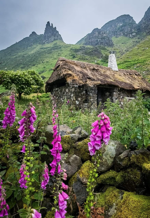 tinker_travel's tweet photo. Uncover the secrets of Ireland with my expert guide. Read my blog post now and plan your dream trip. 
https://t.co/yN3Ps6zA4z
 #travelblog #Irelandtravel #wanderlust 🌈✈️ https://t.co/cIlByP1oZv